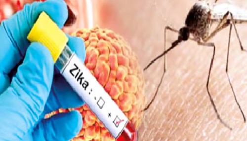 766168-pune-news-dengue-and-zika-virus-patients-rises-shocking-statistics-in-front.jpeg