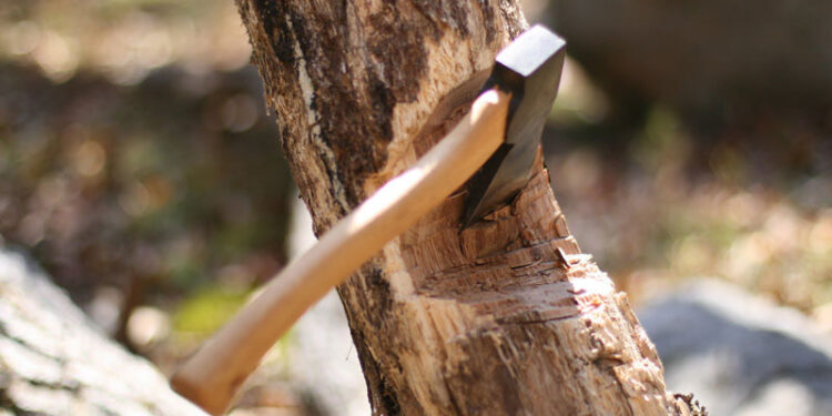plant-destruction-750x375.jpg