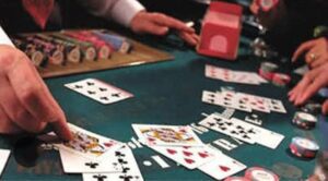 IMG_20241102_151143.jpg