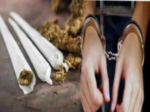 p-ganja_202106638754.jpg