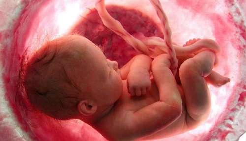 707713-newborn-baby-umbilical-cord.jpg