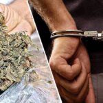 पुणे: पुलाखाली ‘इंद्रायणी’च्या साक्षीने गांजाचा धंदा; पोलिसांचा दणका!