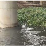 कोट्यवधींचा खर्च, जलपर्णी मात्र ‘जैसे थे’; नदी स्वच्छ की कागदोपत्री?