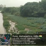 पाऊस उशिरा, तरी जलपर्णी हटविण्यास विलंब; नदीत पाणी वाढण्यापूर्वी विल्हेवाट पूर्ण होणार का?