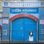 येरवडा मनोरुग्णालयातील वृक्षतोड प्रकरण गाजणार?; ५,९३५ झाडे नेमकी कुठे लावली, नागरिकांचा सवाल
