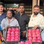 मार्केट यार्ड : ड्रॅगन फ्रूटला उच्चांकी भाव; २०१ रुपये किलो दराने विक्री